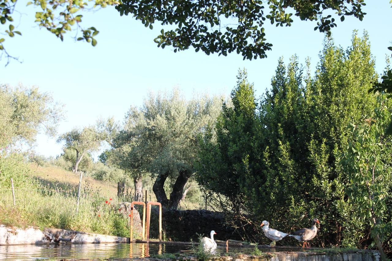 Finca La Carnicera Constantina Luaran gambar