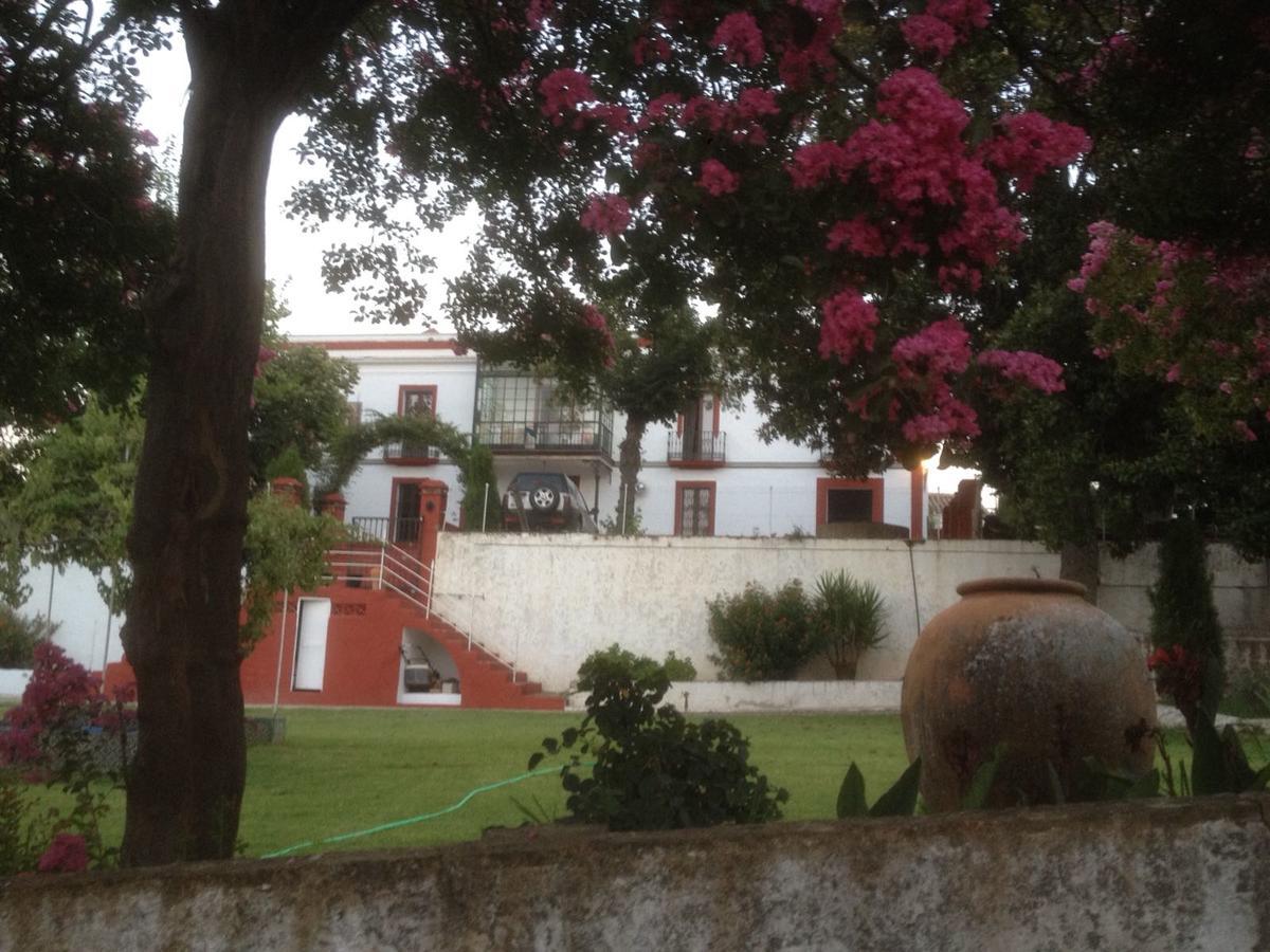 Finca La Carnicera Constantina Luaran gambar