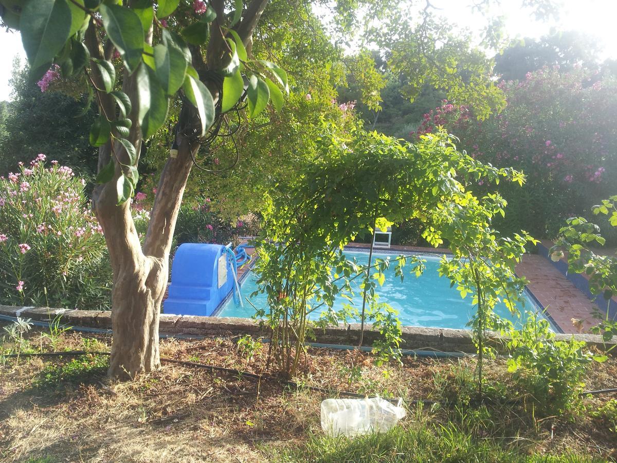 Finca La Carnicera Constantina Luaran gambar