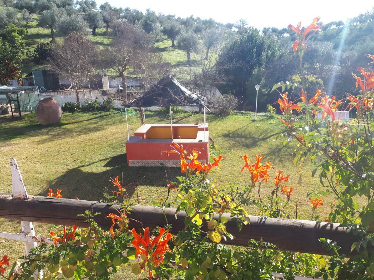 Finca La Carnicera Constantina Luaran gambar