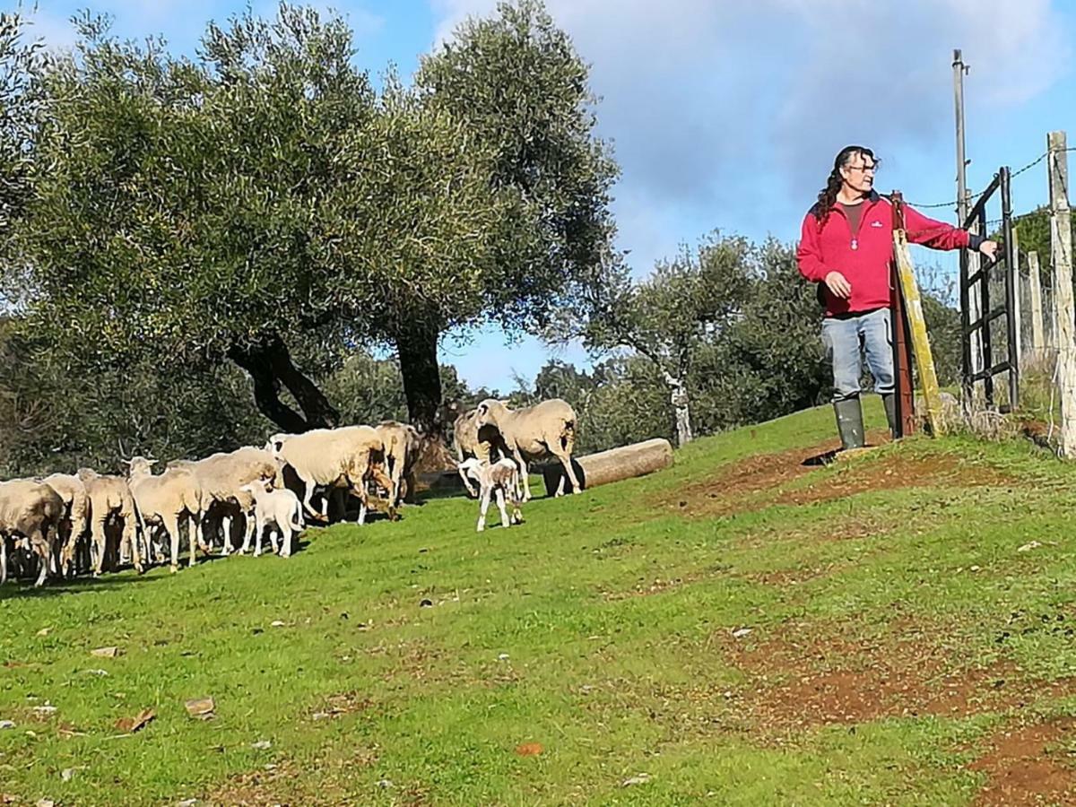 Finca La Carnicera Constantina Luaran gambar