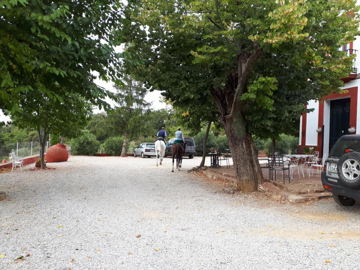 Finca La Carnicera Constantina Luaran gambar