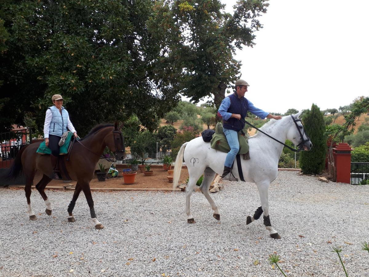 Finca La Carnicera Constantina Luaran gambar