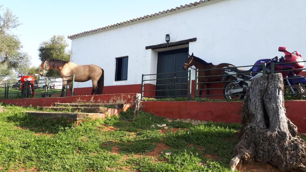 Finca La Carnicera Constantina Luaran gambar