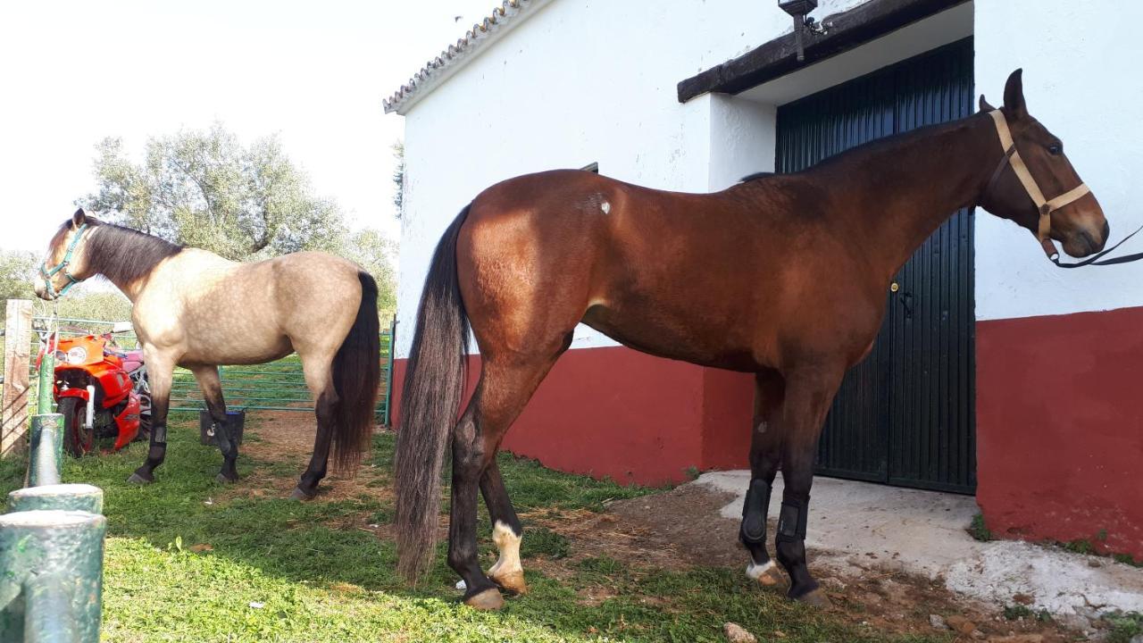 Finca La Carnicera Constantina Luaran gambar