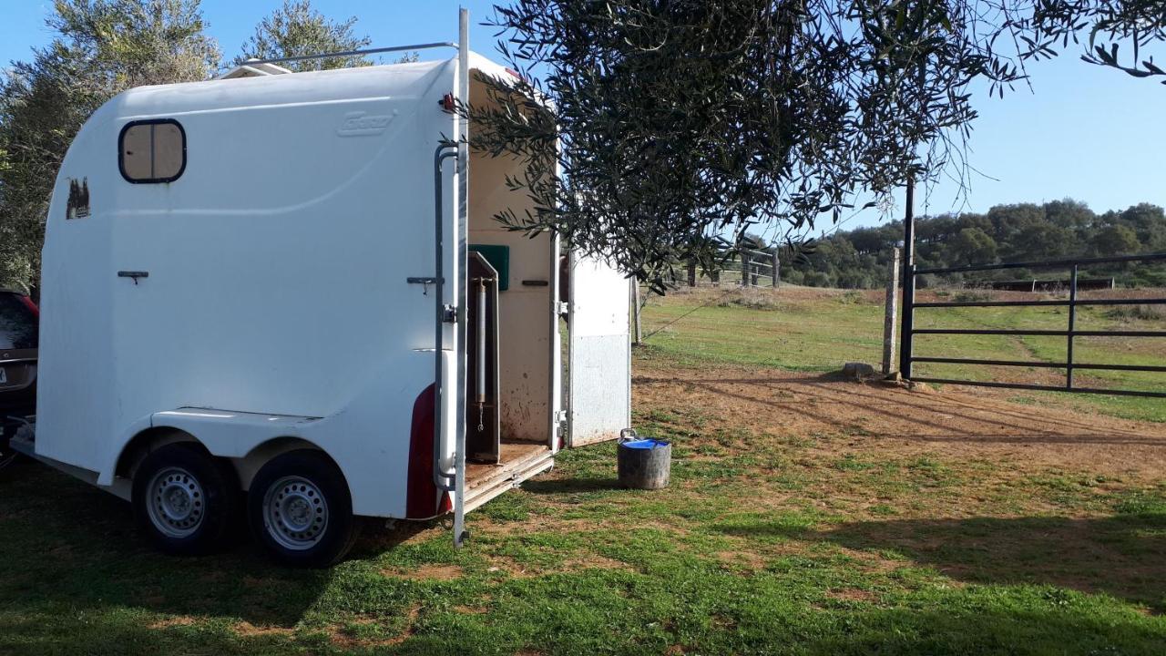 Finca La Carnicera Constantina Luaran gambar