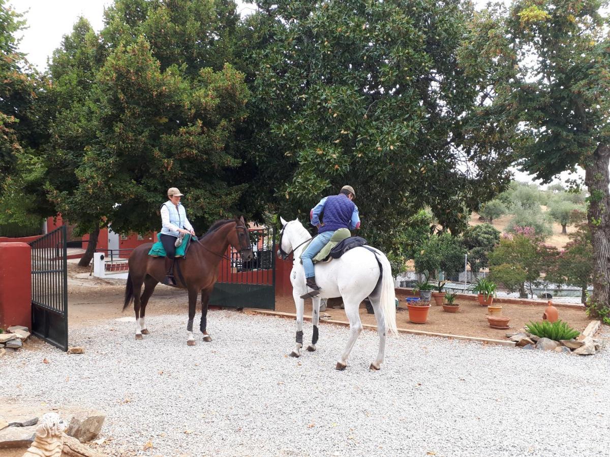 Finca La Carnicera Constantina Luaran gambar